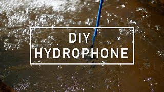 DIY Hydrophone [upl. by Corwun]