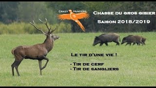 Le tir dune vie  Chasse du gros gibier Cerfs Sangliers   Saison 20182019 [upl. by Evanthe]