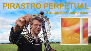 PIRASTRO PERPETUAL Double Bass Strings Review Plus How do they compare to Spirocore Hear both [upl. by Midian]