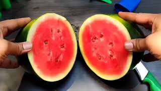 DIY Watermelon Popsicles  Lollies 🍉🍉 [upl. by Li]