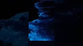 What is the reason behind glowing water 🔥 [upl. by Paolo201]