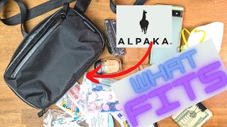 Alpaka Elements Tech Case Mini review  see what fits [upl. by Oilcareh832]