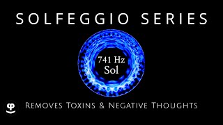 Deep Sleep  Solfeggio 741Hz  Delta  Remove Toxins amp Negative Thoughts  Black Screen [upl. by Laws]