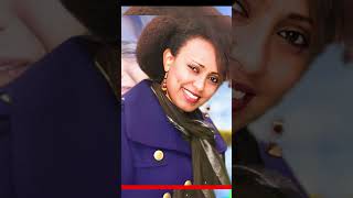 Abeba Desalegn Girma Mogese  Acoustic [upl. by Pollitt]