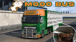 Mooving the Moos🐮 to another Farm in Becky Giles Truck Euro Truck Simulator 2 [upl. by Sanger491]