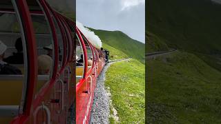 Riding the Brienz Rothorn Railway Stunning Swiss Alps Views amp Alpine Wildlife [upl. by Paley]