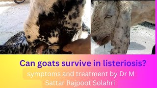 survival of Goats in Listeriosis by Dr MSA Rajpoot Solahri [upl. by Swayne628]