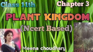 PteridophytesPart6 Plant KingdomNcert class 11th biology youtubevideos trending viralvideo [upl. by Goodkin]