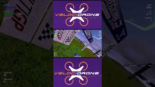 Velocidrone sim racing  shorts [upl. by Martine584]