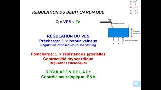 11  Physiologie cardio vasculaire partie 11 [upl. by Ahsineb]