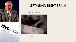 APS Award Address Lessons Learned From SplitBrain Research [upl. by Neelrad308]