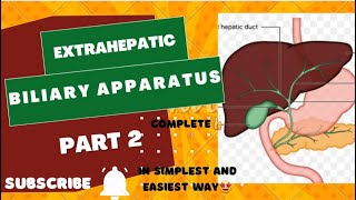 Extrahepatic biliary apparatus  Part 2  complete ayeshamedicaleducation [upl. by Alleuqram]