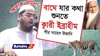 বাঘে যার কথা শুনতো  New waz  Uzani Waz Qari Ibrahim [upl. by Berton]