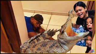 TEM UM CROCODILO EM NOSSA CASA [upl. by Howenstein279]