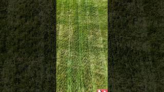 Aeration and Overseeding Large Lawn [upl. by Dettmer392]