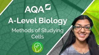 ENTIRE Topic 2  A level Biology for AQA Learn the whole topic in an hour [upl. by Eigram]