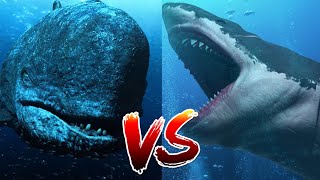 Megalodon VS Livyatan  Who Would Win [upl. by Nyleaj]