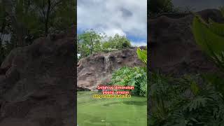 Wisata Pisang Amazon fantasy cutebaby hutanamazon reaction baby cute Pisang amazon [upl. by Jania672]