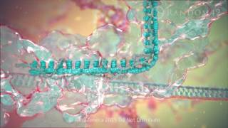 Random42 Medical Animation  CRISPR [upl. by Ihcalam541]