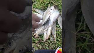 Kilanga fish Hook Fishing [upl. by Curtis]