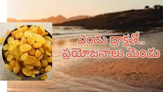 Health benefits of eating Raisins  ఎండు ద్రాక్ష ఆరోగ్య ప్రయోజనాలు [upl. by Arykahs]