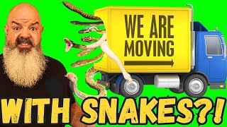 Im moving With a LOT of snakes [upl. by Williams]