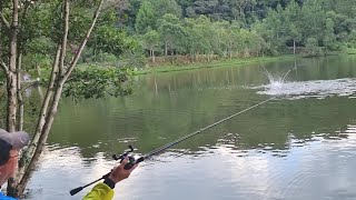 Explosão de Força e Muita Emoção  Matrinxãs e Piraputanga  Pesq Sol Pescarias  Nelson Chiba [upl. by Jorgenson866]