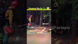 Stoping Fire By Fire 😱 shorts facts fire amazingfacts [upl. by Patnode158]