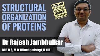 Structural organization of proteins [upl. by Jasmina]