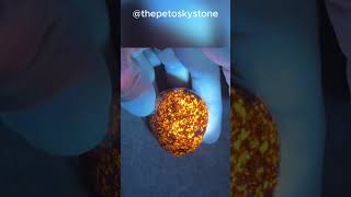 Yooperlite glowing rock 😮😮 shorts [upl. by Yanrahc661]