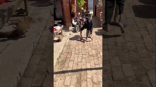 A disabled man leaving home for workshorts shortvideo [upl. by Boice]