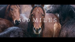 500 Miles  The Story of Ranchers and Horses 2017 [upl. by Aluk]