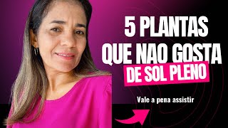 5 PLANTAS MEIA SOMBRA SE COLOCAR NO SOL VAI MORRER [upl. by Jordans494]