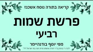 פרשת שמות  רביעי  נוסח אשכנז [upl. by Mateo]