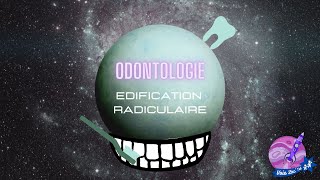 TTR S2 PASS LAS T3 Odontologie Edification radiculaire 4 » [upl. by Lewan266]