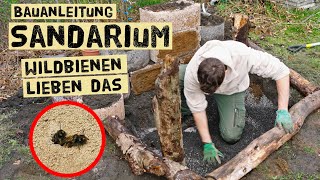 Lebensraum für Wildbienen in jedem Garten schaffen  Bauanleitung Sandarium [upl. by Rimas]