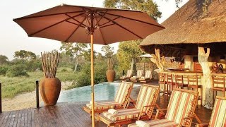 Kambaku Safari Lodge Kruger National Park South Africa [upl. by Trimmer]