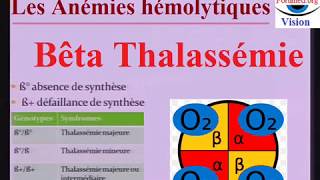 Béta Thalassémie Physiopathologie de lAnémie hémolytique et Traitement [upl. by Myrt653]