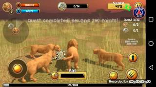 Wild Lion Simulator 3D [upl. by Lulita946]