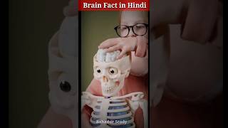 Amazing Brain Fact in Hindi  Human Brain Power⚡ [upl. by Aierdna]