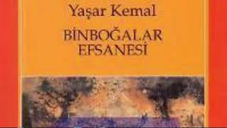 Yaşar kemal🌺Binboğalar efsanesi PART 1 SESLİ KİTAP книга roman yaşarkemal binboğalarefsanesi [upl. by Soll145]