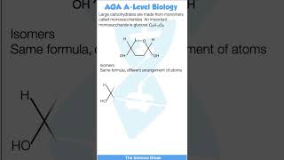 AQA A Level Biology  Biological Molecules  Glucose and Isomers [upl. by Yziar976]