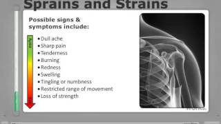 Injury Prevention Sprains and Strains Online Course Preview [upl. by Rekrap]