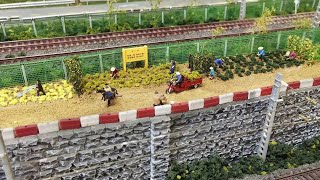 Chinese Modeltrains November 2023 [upl. by Rimahs]