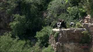 California Condors in Grand Canyon National Park [upl. by Harbard]