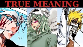 The True Meaning Of The Arrancar in Bleach shortscompilation bleachanime anime [upl. by Aibara]