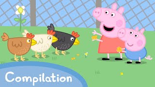 Pretty Polly The Parrot 🦜  Peppa Pig Official Full Episodes [upl. by Ynnahc]