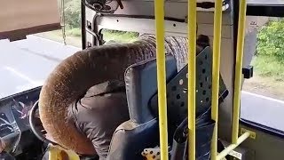 Cheeky elephant robs the bus driver for banana [upl. by Dahle765]