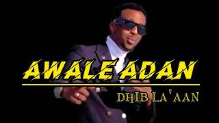 cawaale aadan Dhib la aan video official music 🎶 2023 [upl. by Alica]