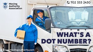 What Is A USDOT Number ⛟ Requires All Interstate Motor Carriers To Display The USDOT Number [upl. by Olra]